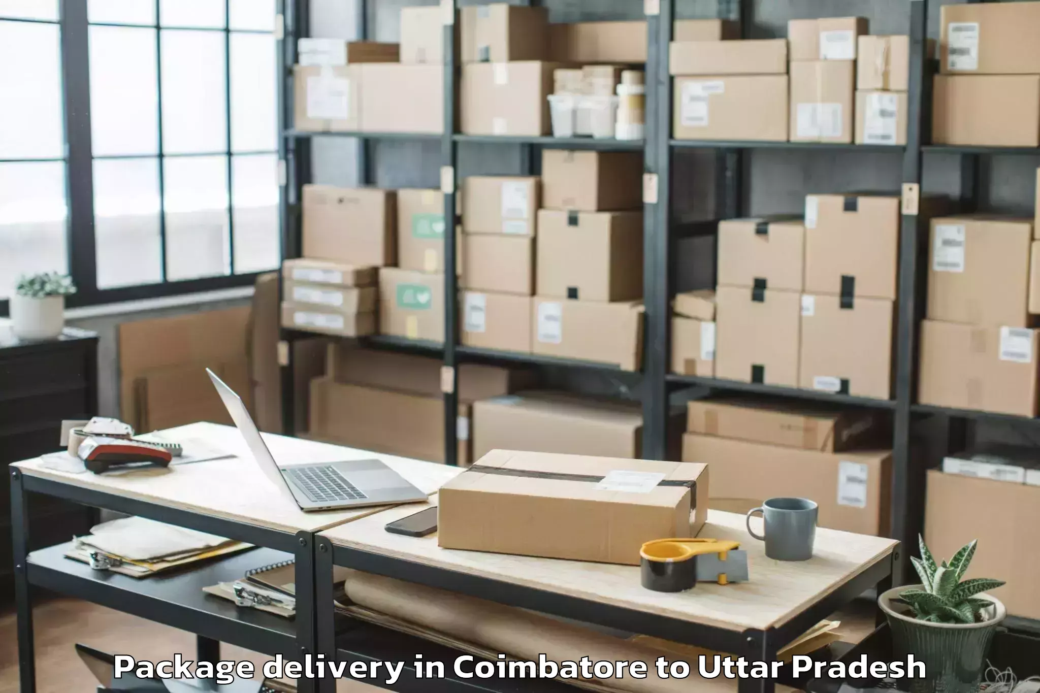 Easy Coimbatore to Etawah Package Delivery Booking